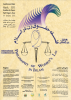 همایش بین المللی فلسفه حقوق زن دراسلام - اردیبهشت 92